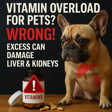 Vitamin Overload for Pets? Wrong! Excess Can Damage Liver &amp; Kidneys