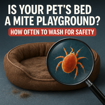 Is Your Pet’s Bed a Mite Playground? How Often to Wash for Safety