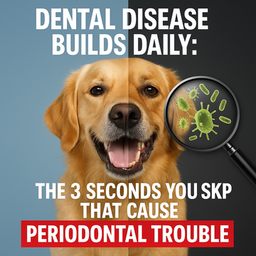 Dental Disease Builds Daily: The 3 Seconds You Skip That Cause Periodontal Trouble
