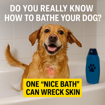 Do You Really Know How to Bathe Your Dog? One “Nice Bath” Can Wreck Skin